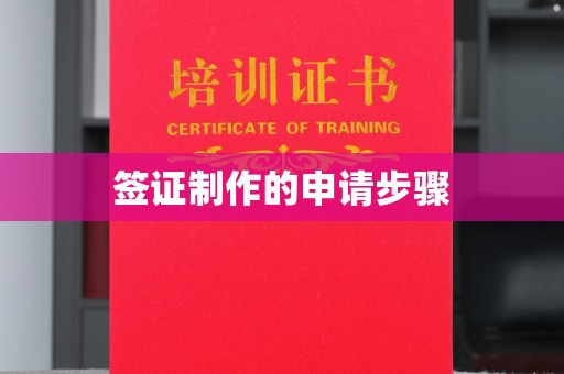 凌海签证制作的申请步骤