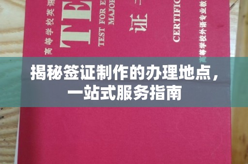 凌海揭秘签证制作的办理地点，一站式服务指南