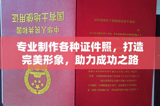 凌海专业制作各种证件照，打造完美形象，助力成功之路