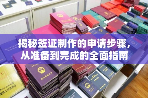 凌海揭秘签证制作的申请步骤，从准备到完成的全面指南