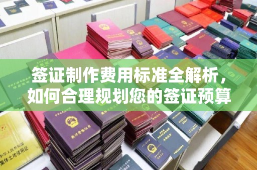 凌海签证制作费用标准全解析，如何合理规划您的签证预算？