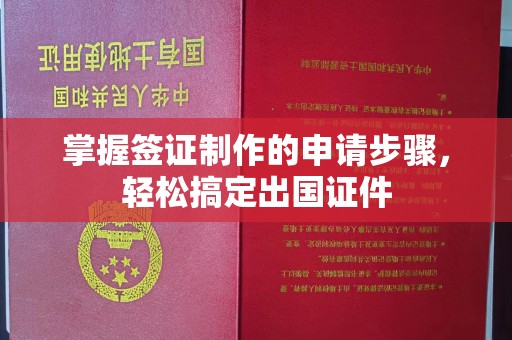 凌海掌握签证制作的申请步骤，轻松搞定出国证件